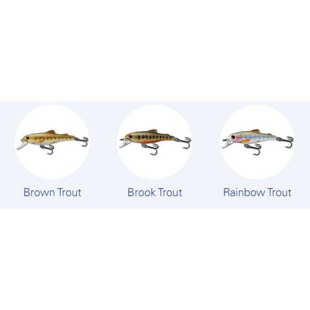 Купить Live target TF50S901 Trout Jerkbait Sinking Пескарь 50 mm 3.5g Золотистый Brown Trout 7ft.ru в интернет магазине Семь Футов