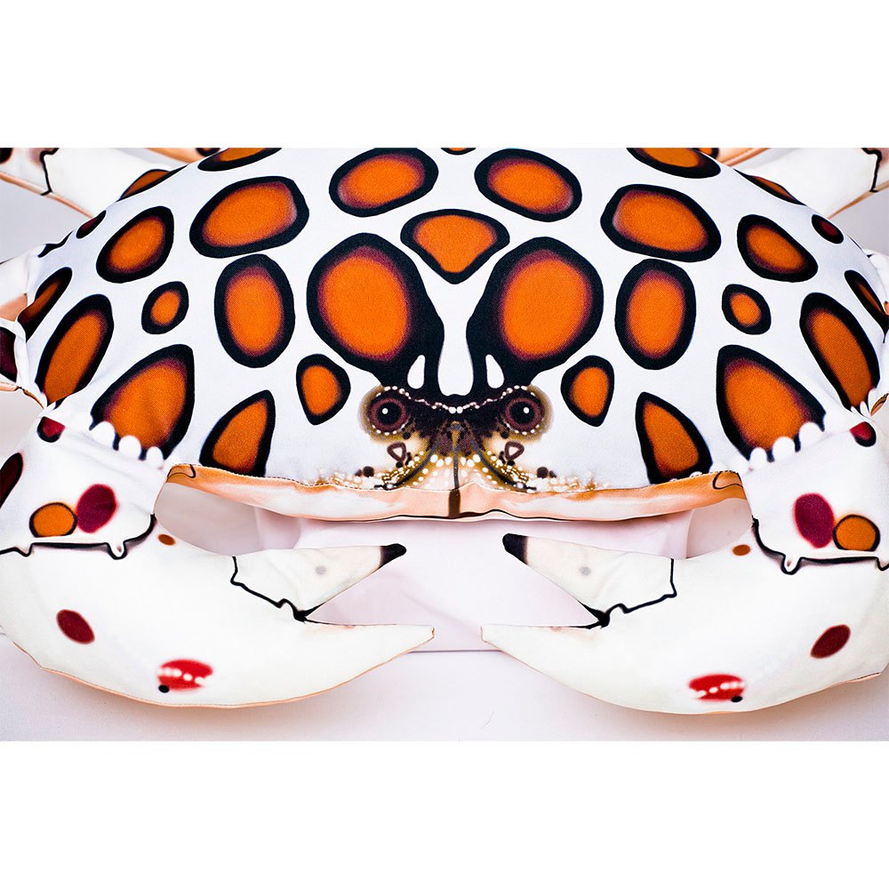 Купить Gaby GP-175747 The Calico Crab Medium Белая  White / Brown / Black 7ft.ru в интернет магазине Семь Футов