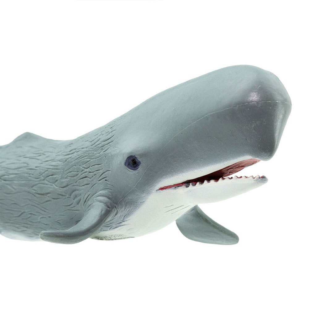 Купить Safari ltd S275529 Sperm Whale Sea Life Фигура Голубой Grey From 3 Years  7ft.ru в интернет магазине Семь Футов