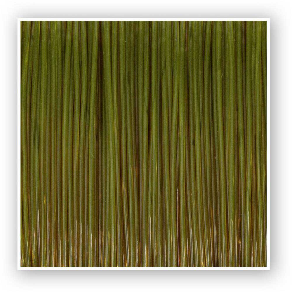 Купить Zebco 2003035 Trophy Pike Мононить 300 м Зеленый Green 0.350 mm  7ft.ru в интернет магазине Семь Футов