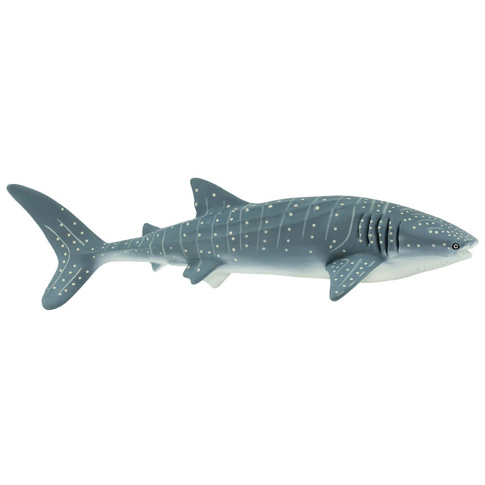 Купить Safari ltd S210602 Whale Shark Фигура Голубой  Grey From 3 Years  7ft.ru в интернет магазине Семь Футов