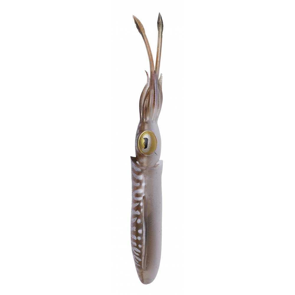 Купить Savage gear 63870 3D Swim Squid 250 Mm 86g Многоцветный Brown 7ft.ru в интернет магазине Семь Футов