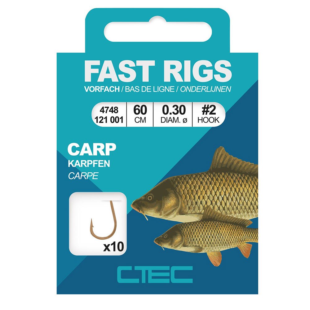 Купить CTEC 004748-00120-00001-00 Fast Rigs Carp Связанный Крючок Без Зазубрин 0.300 mm Серебристый Black 2  7ft.ru в интернет магазине Семь Футов