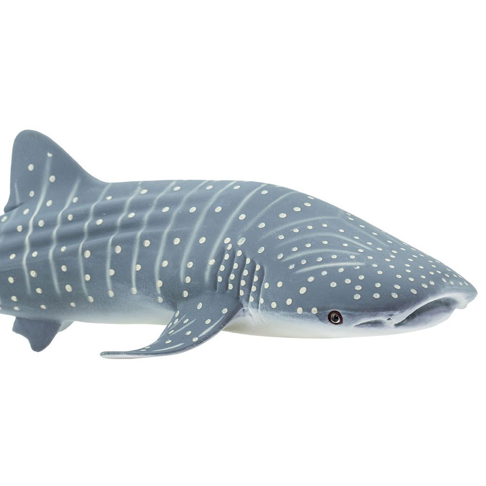 Купить Safari ltd S422129 Whale Shark Sea Life Фигура Голубой Grey From 3 Years  7ft.ru в интернет магазине Семь Футов