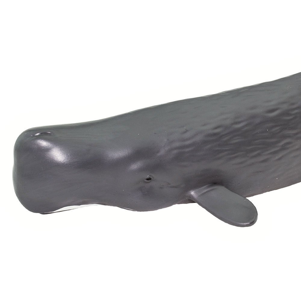 Купить Safari ltd S100209 Sperm Whale Фигура Серый  Dark Grey From 3 Years  7ft.ru в интернет магазине Семь Футов