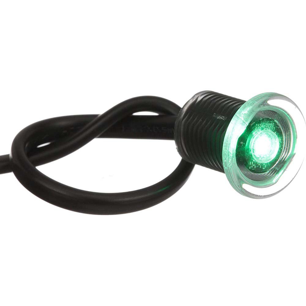 Купить Seachoice 50-05511 Mini Livewell Светодиодный Черный Green 7ft.ru в интернет магазине Семь Футов