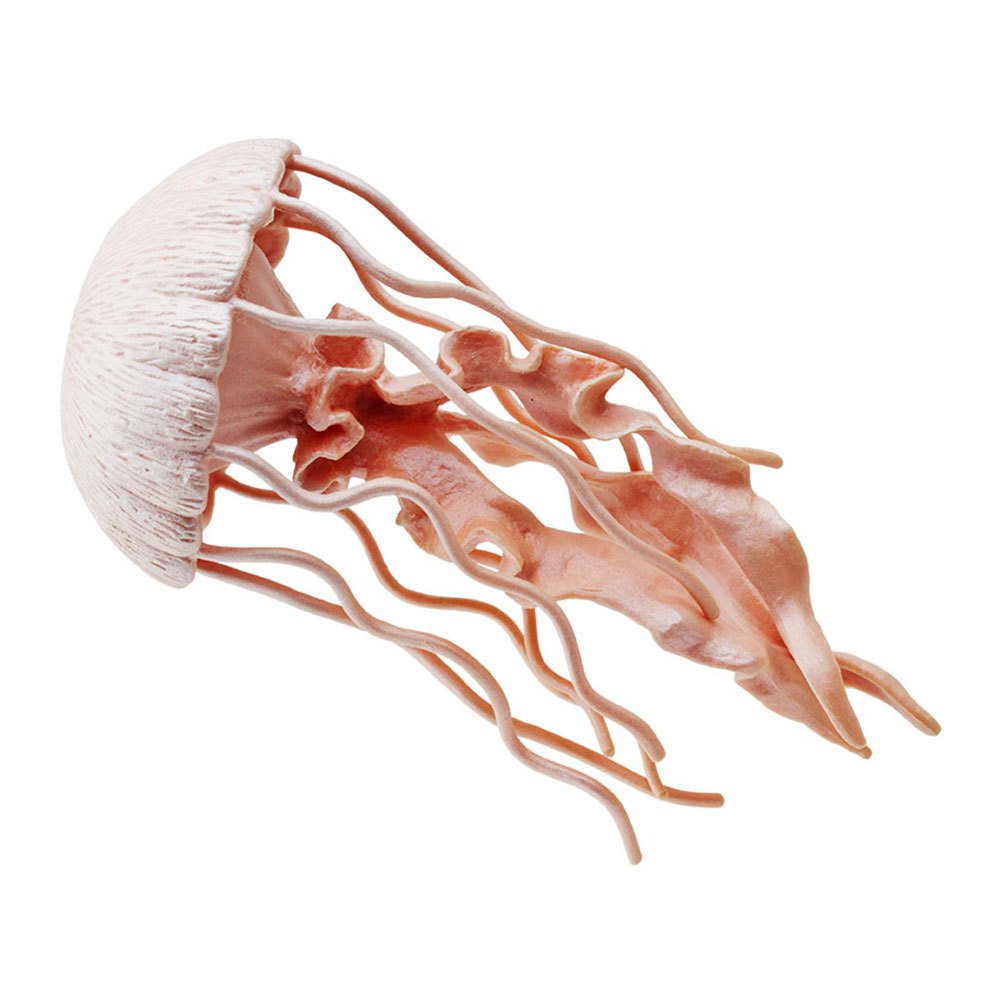 Купить Safari ltd S265529 Jellyfish Sea Life Фигура Оранжевый Pink From 3 Years  7ft.ru в интернет магазине Семь Футов