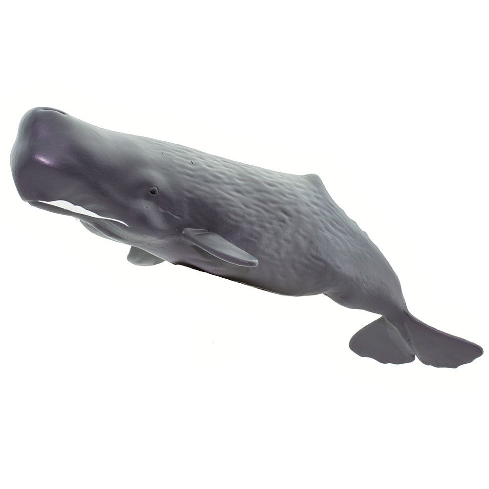 Купить Safari ltd S100209 Sperm Whale Фигура Серый  Dark Grey From 3 Years  7ft.ru в интернет магазине Семь Футов