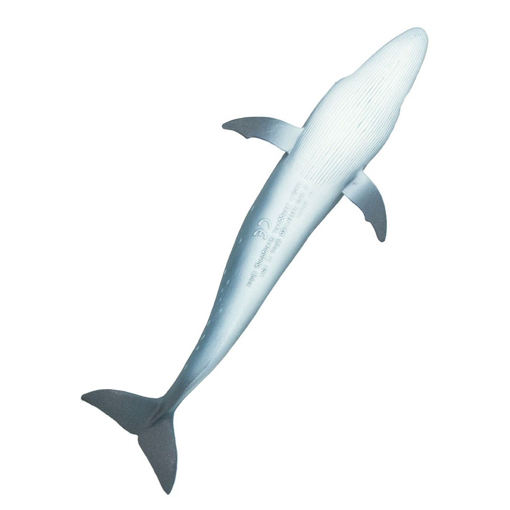 Купить Safari ltd S100098 Sei Whale Фигура Голубой  Grey From 3 Years  7ft.ru в интернет магазине Семь Футов