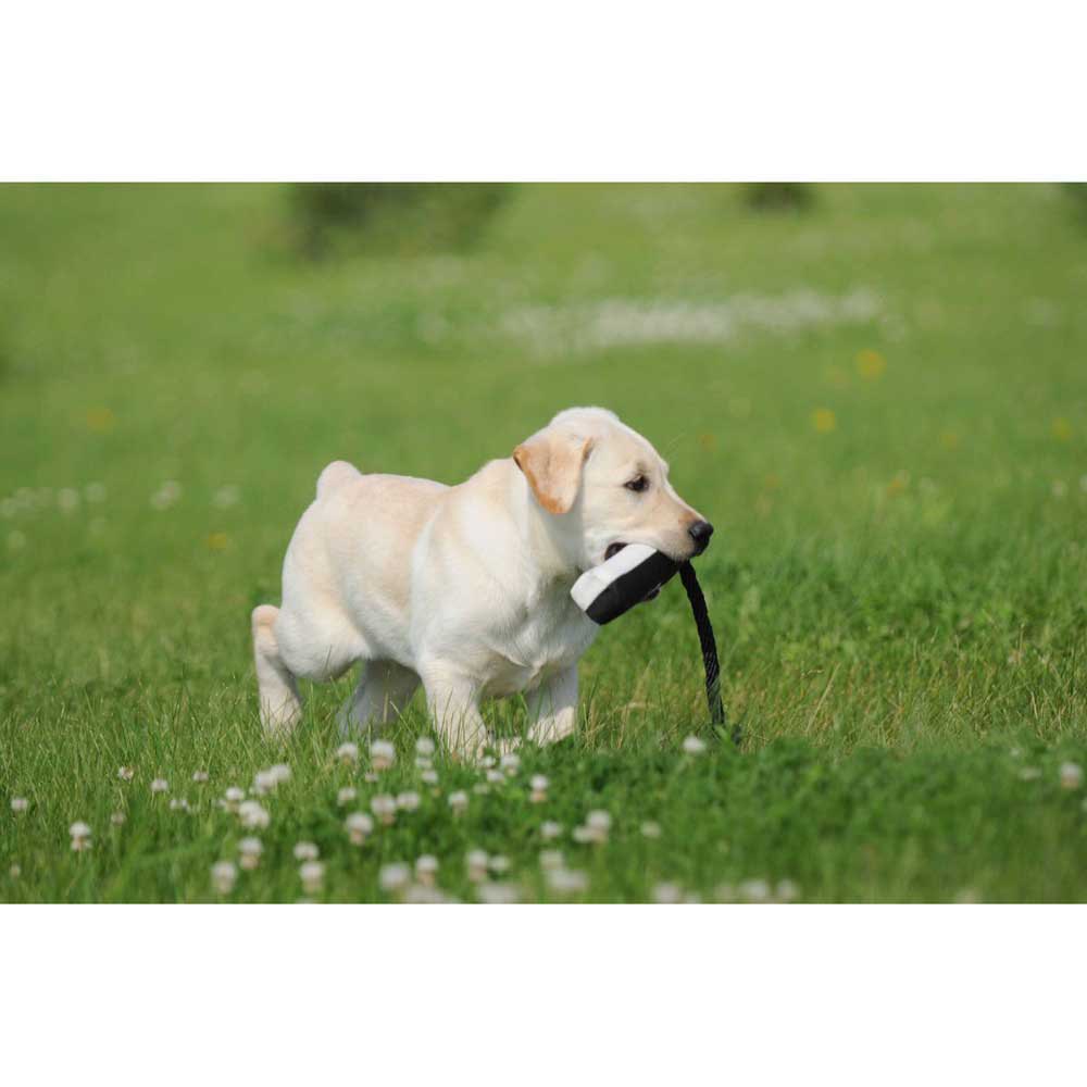 Купить Asd 512142 Тренировочная игрушка-бампер для собак Черный Flasher 5.1 cm  7ft.ru в интернет магазине Семь Футов