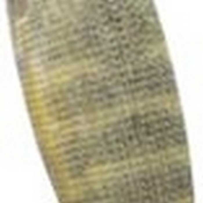 Купить DTD 10075-G Kanjac 3.0 Кальмар 80 Mm 13.2g Многоцветный Green 7ft.ru в интернет магазине Семь Футов