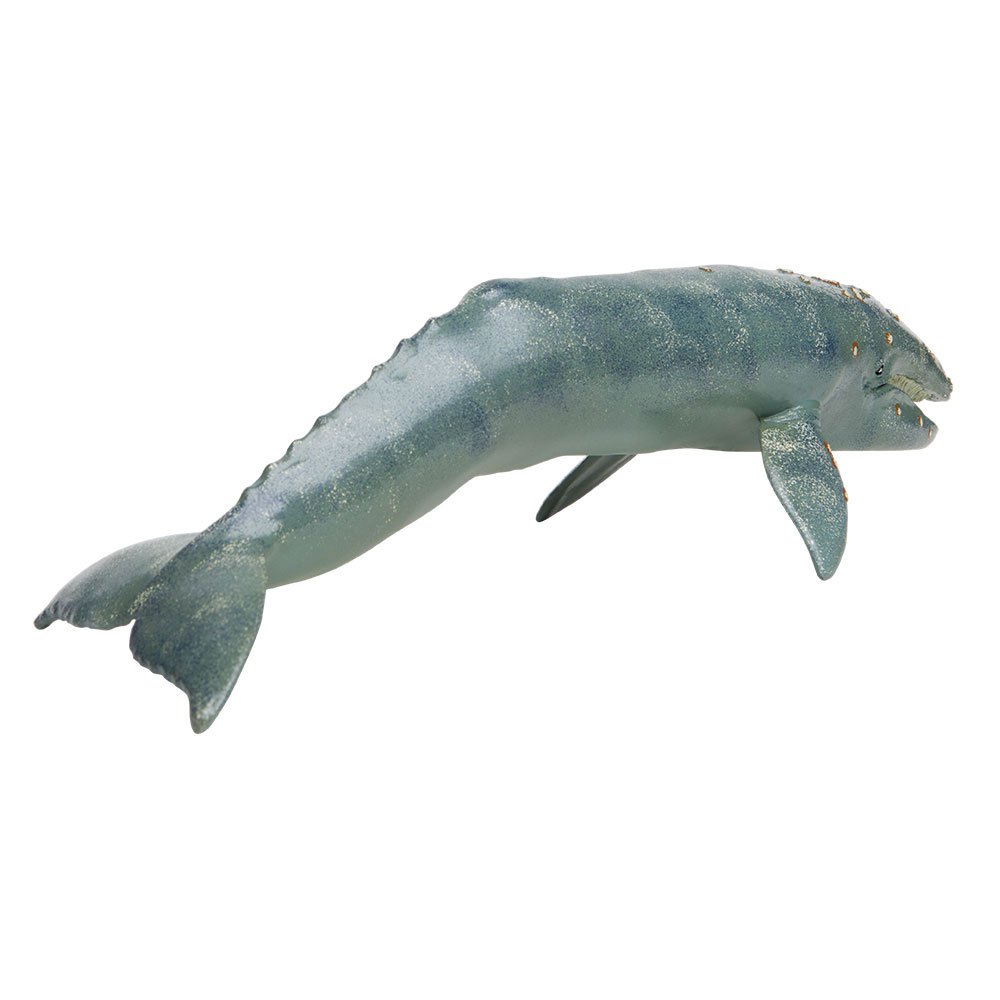 Купить Safari ltd S210402 Gray Whale Фигура Серый  Grey From 3 Years  7ft.ru в интернет магазине Семь Футов