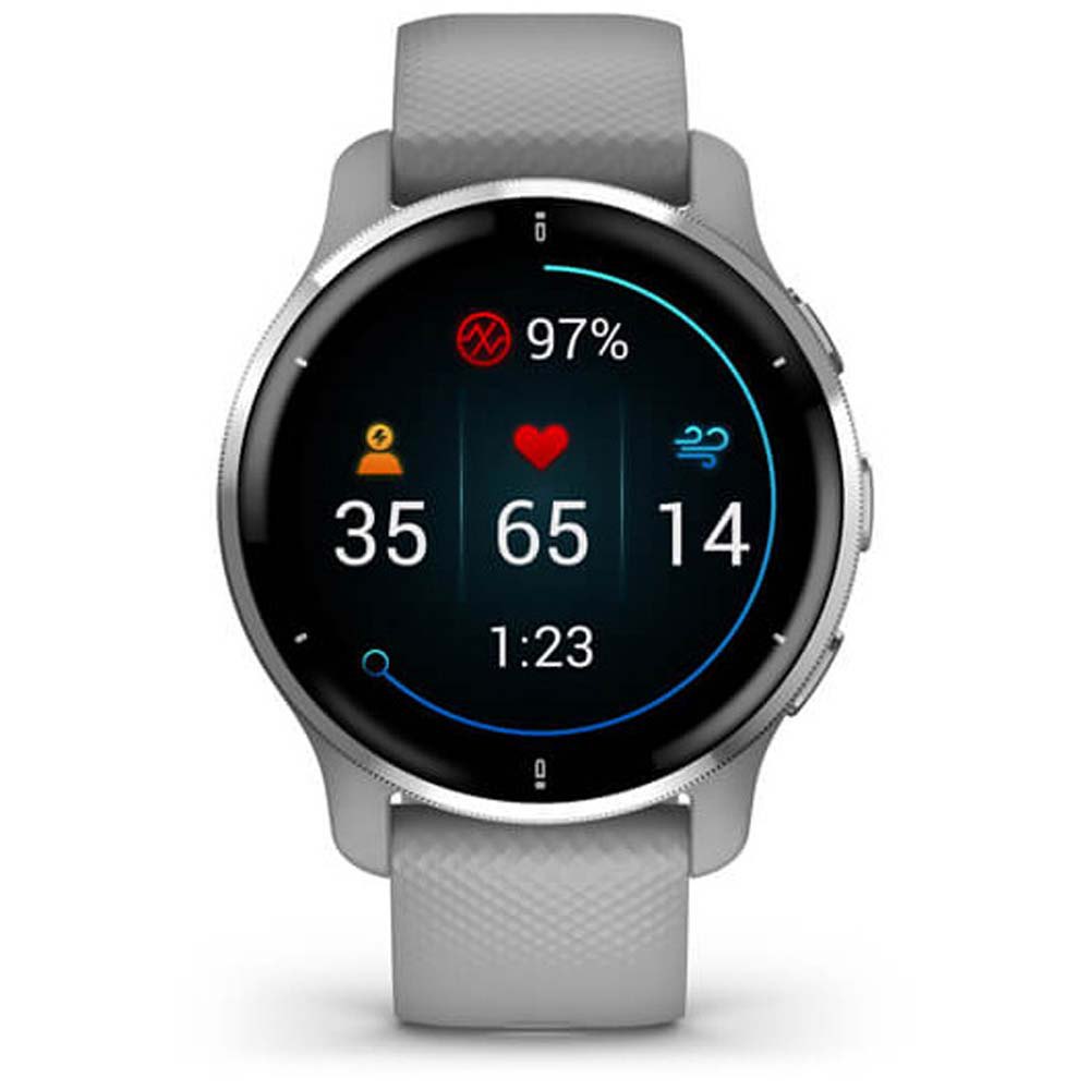 Купить Garmin 010-02496-10 Venu 2 Plus Часы Серый  Grey / Silver 7ft.ru в интернет магазине Семь Футов