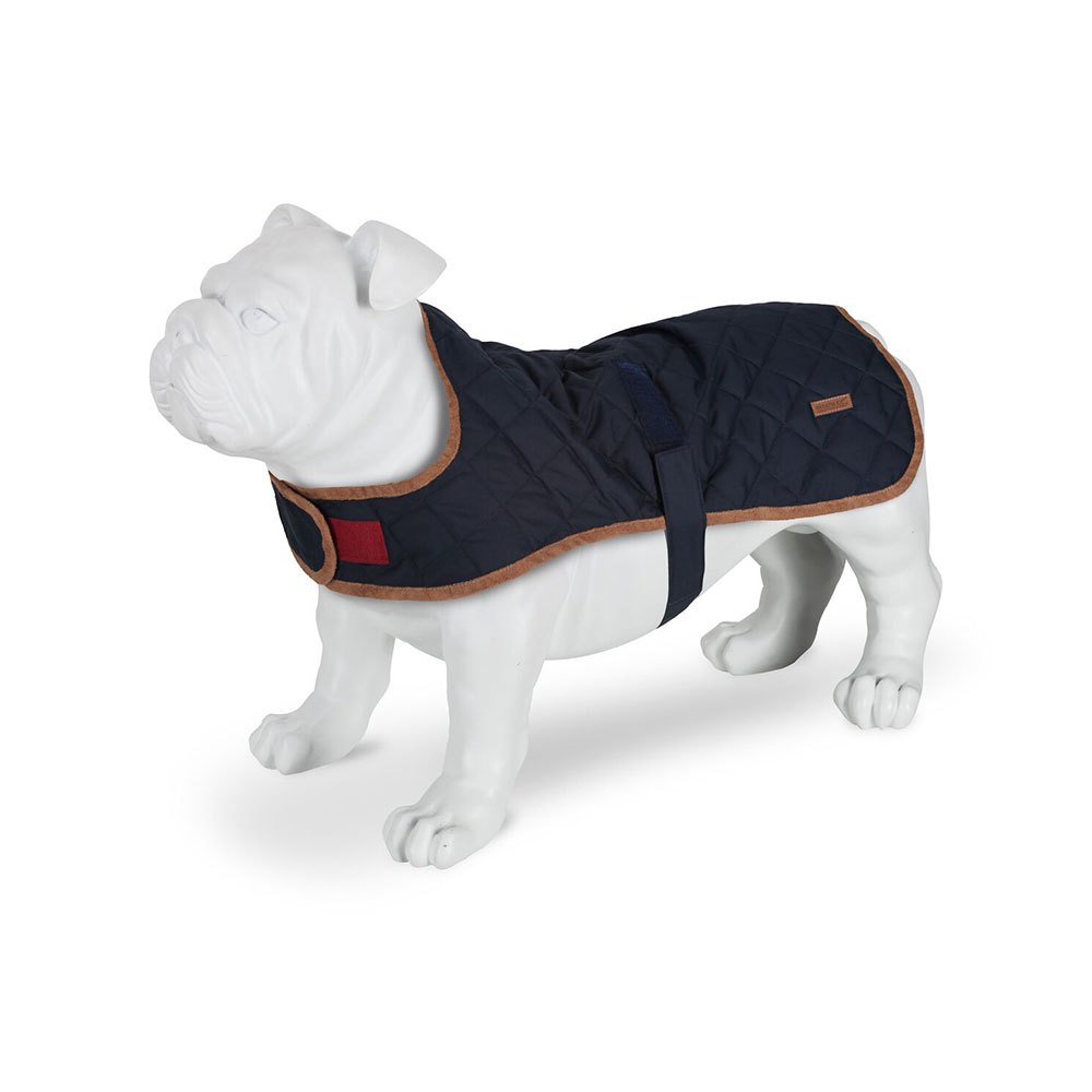 Купить Regatta RDE031-540-S Odie Куртка для собак Голубой Navy S  7ft.ru в интернет магазине Семь Футов