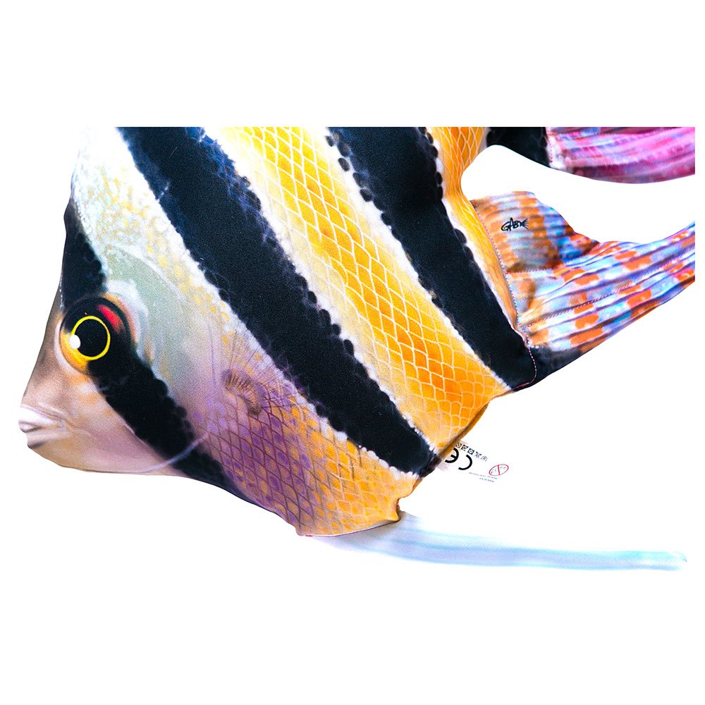 Купить Gaby GP-175976 The Freshwater Angelfish Многоцветный  Multicolor 7ft.ru в интернет магазине Семь Футов
