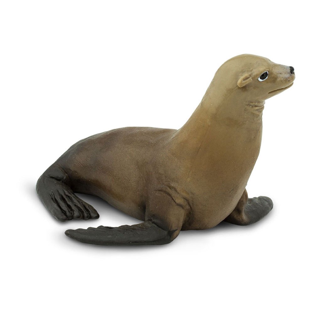 Купить Safari ltd S274229 Sea Lion Фигура Коричневый  Brown From 3 Years  7ft.ru в интернет магазине Семь Футов