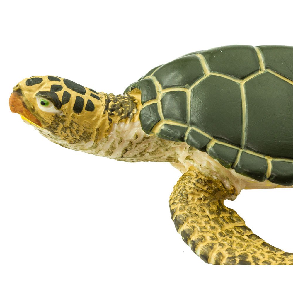 Купить Safari ltd S274329 Green Sea Turtle Wildlife Фигура Зеленый Green / Yellow From 3 Years  7ft.ru в интернет магазине Семь Футов