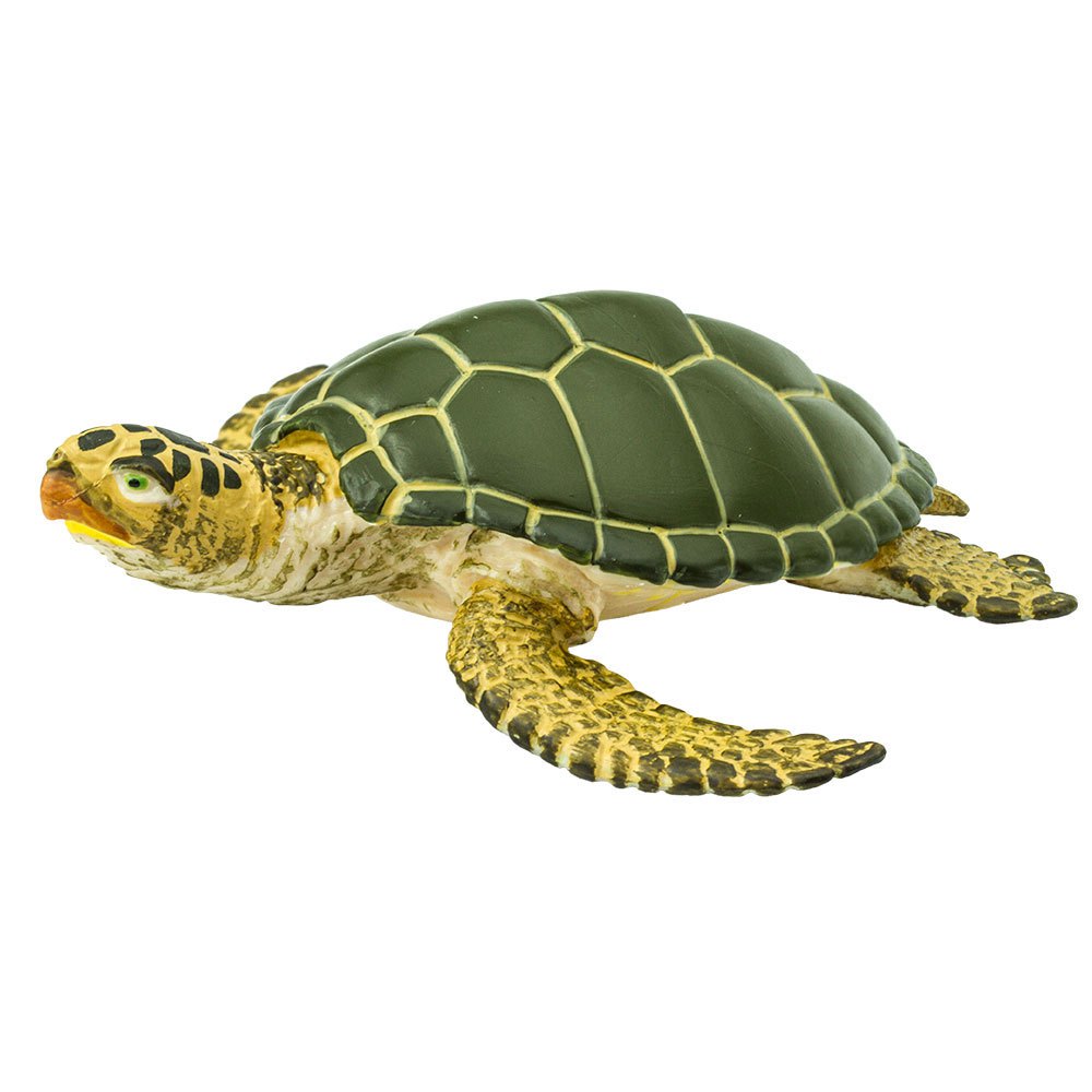 Купить Safari ltd S274329 Green Sea Turtle Wildlife Фигура Зеленый Green / Yellow From 3 Years  7ft.ru в интернет магазине Семь Футов