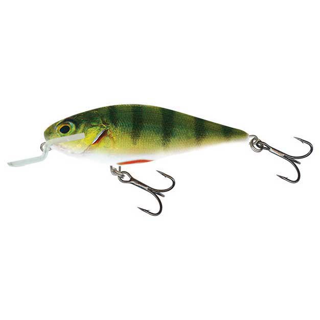 Купить Salmo QEX003 Executor SHR 50 Mm 5g Многоцветный  Real Hot Perch 7ft.ru в интернет магазине Семь Футов