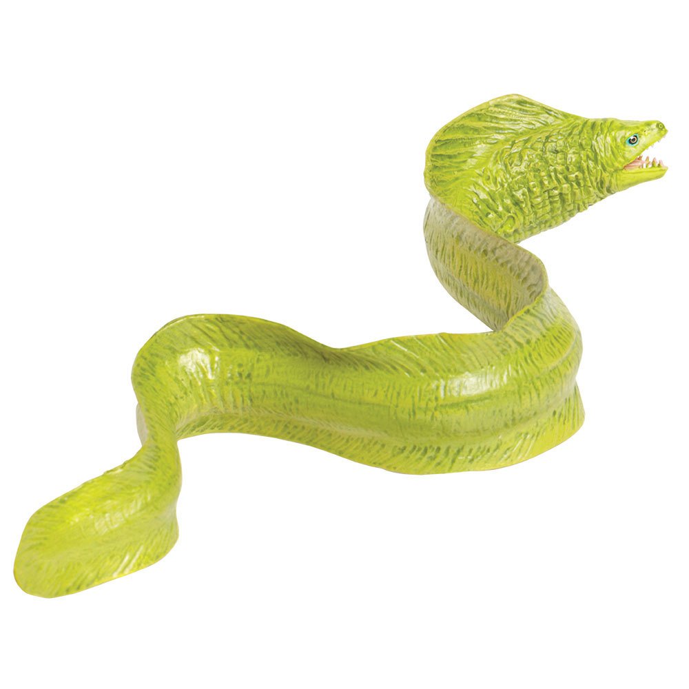 Купить Safari ltd S261529 Moray Eel Фигура Зеленый  Green From 3 Years  7ft.ru в интернет магазине Семь Футов