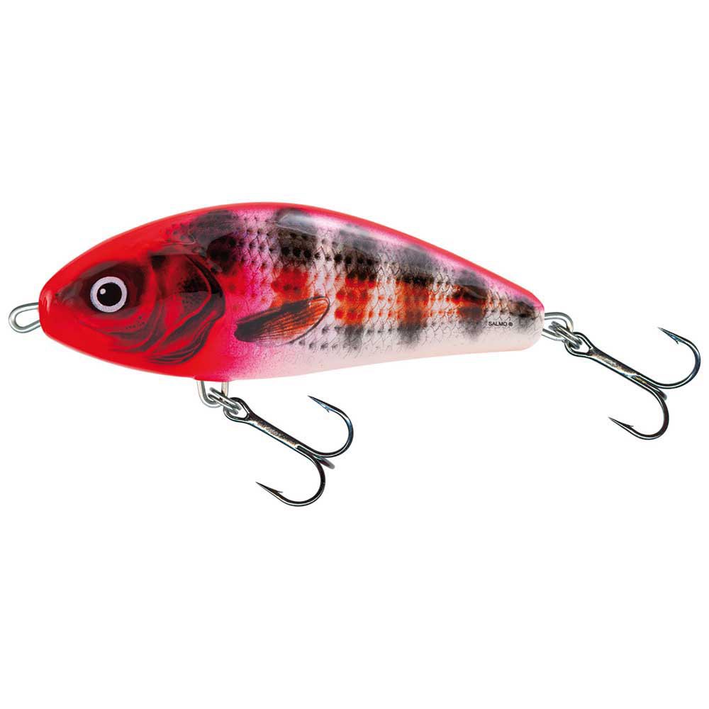 Купить Salmo QFA048 Fatso Sinking 100 Mm Многоцветный  Bleeding Blue Shad 7ft.ru в интернет магазине Семь Футов