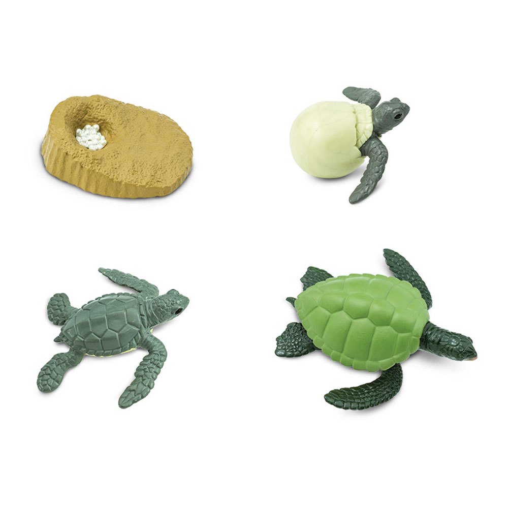 Купить Safari ltd S662316 Life Cycle Of A Green Sea Turtle Фигура Многоцветный Multicolor From 3 Years  7ft.ru в интернет магазине Семь Футов