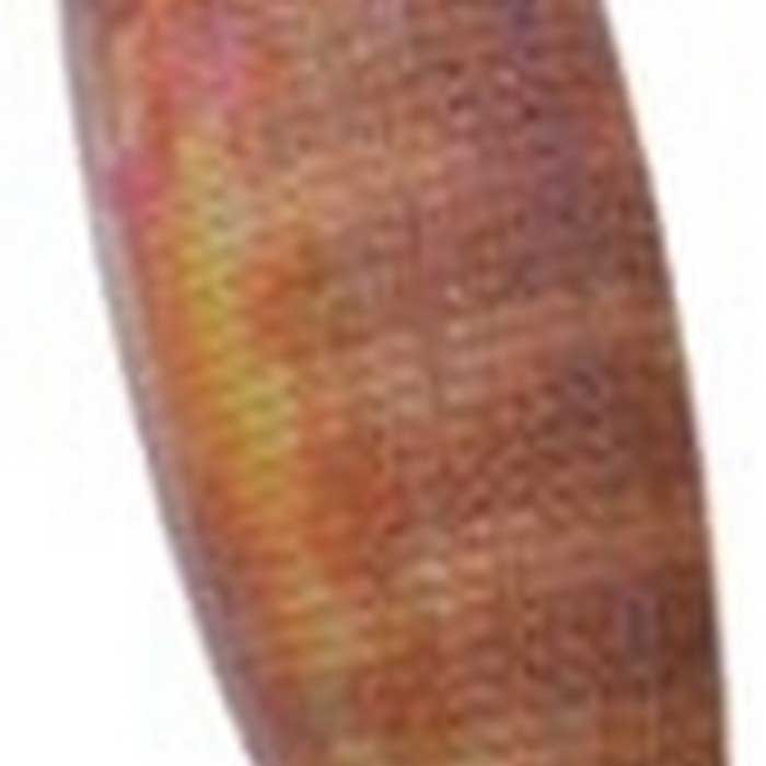 Купить DTD 10075-G Kanjac 3.0 Кальмар 80 Mm 13.2g Многоцветный Green 7ft.ru в интернет магазине Семь Футов