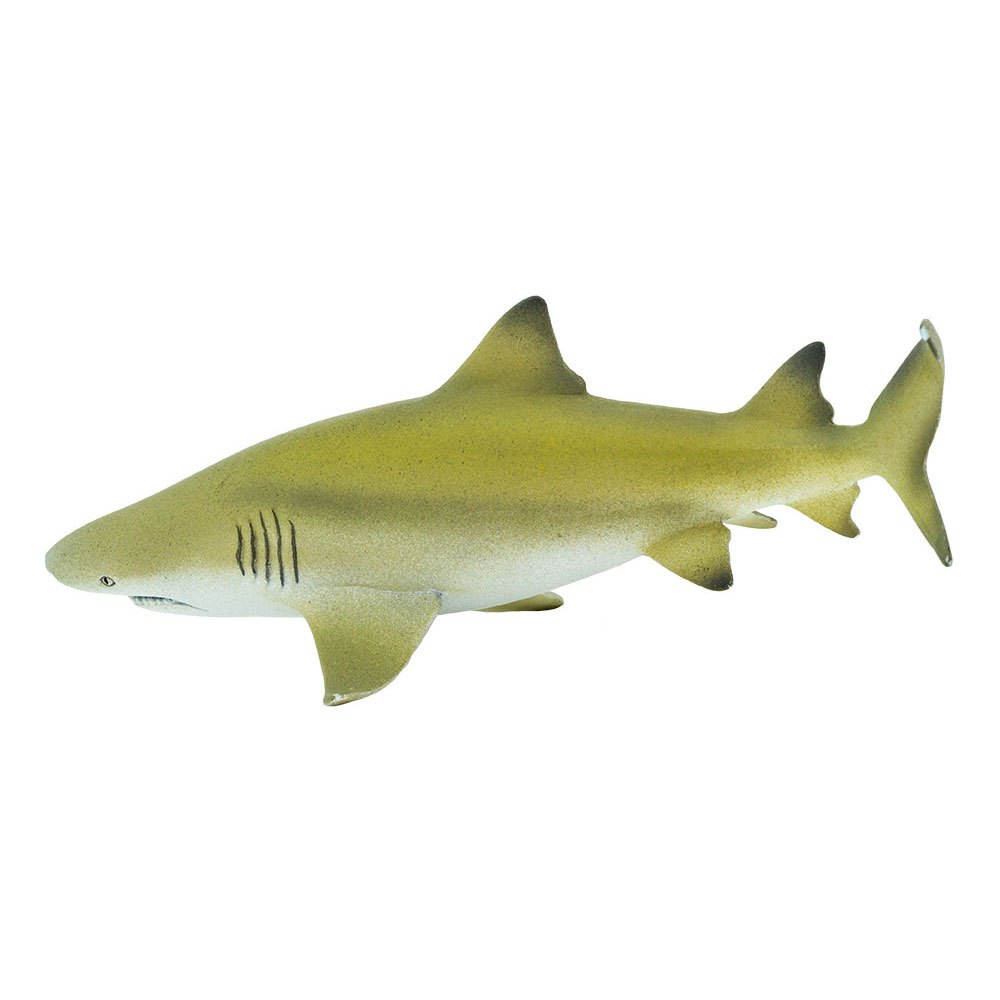 Купить Safari ltd S100097 Lemon Shark Фигура Желтый  Yellow / Grey From 3 Years  7ft.ru в интернет магазине Семь Футов