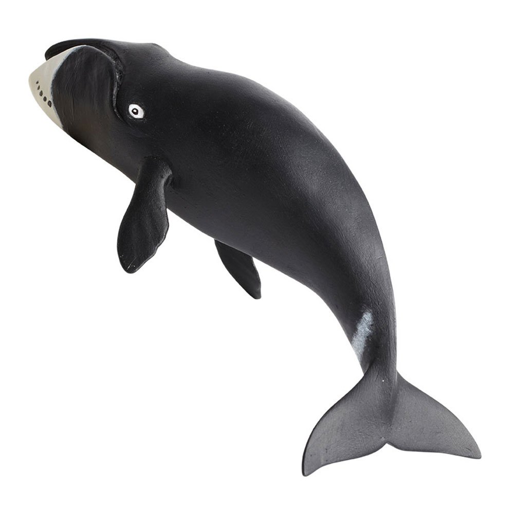 Купить Safari ltd S205529 Bowhead Whale Фигура Черный  Black From 3 Years  7ft.ru в интернет магазине Семь Футов