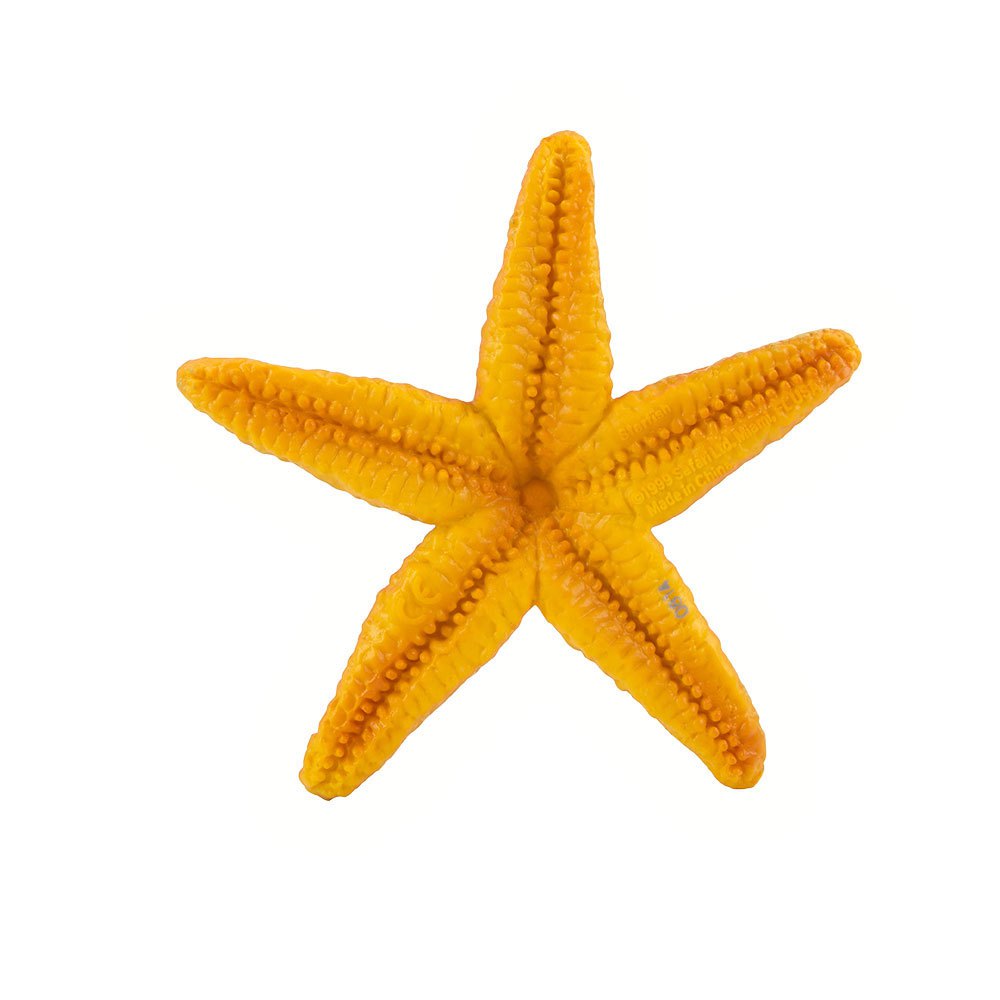 Купить Safari ltd S276829 Starfish Sea Life Фигура Оранжевый Orange From 3 Years  7ft.ru в интернет магазине Семь Футов