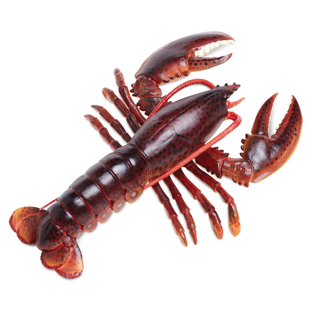 Купить Safari ltd S281629 Maine Lobster Фигура Красный  Red From 3 Years  7ft.ru в интернет магазине Семь Футов