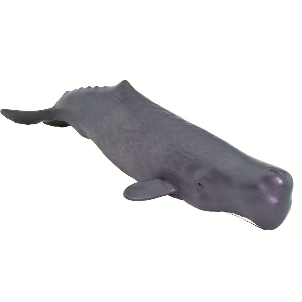 Купить Safari ltd S100209 Sperm Whale Фигура Серый  Dark Grey From 3 Years  7ft.ru в интернет магазине Семь Футов