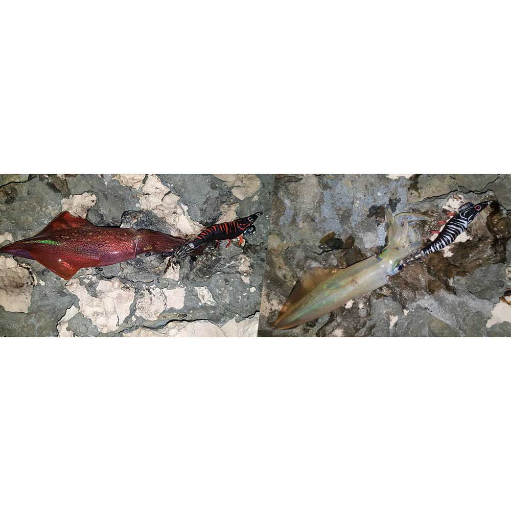 Купить DTD 20515-G Red Shrimp 3.0 Кальмар 96 Mm 14.3g Многоцветный Green 7ft.ru в интернет магазине Семь Футов