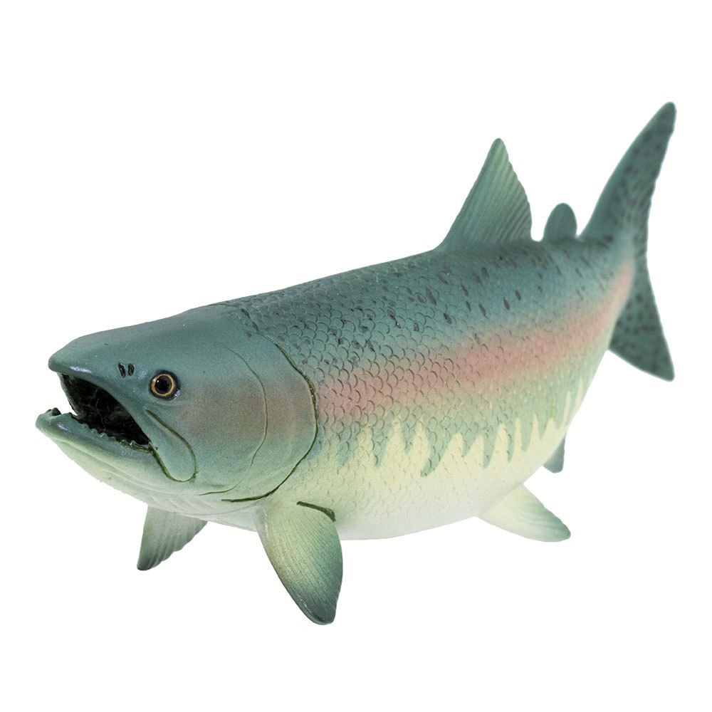 Купить Safari ltd S100205 Salmon Фигура Зеленый  Multicolor From 3 Years  7ft.ru в интернет магазине Семь Футов