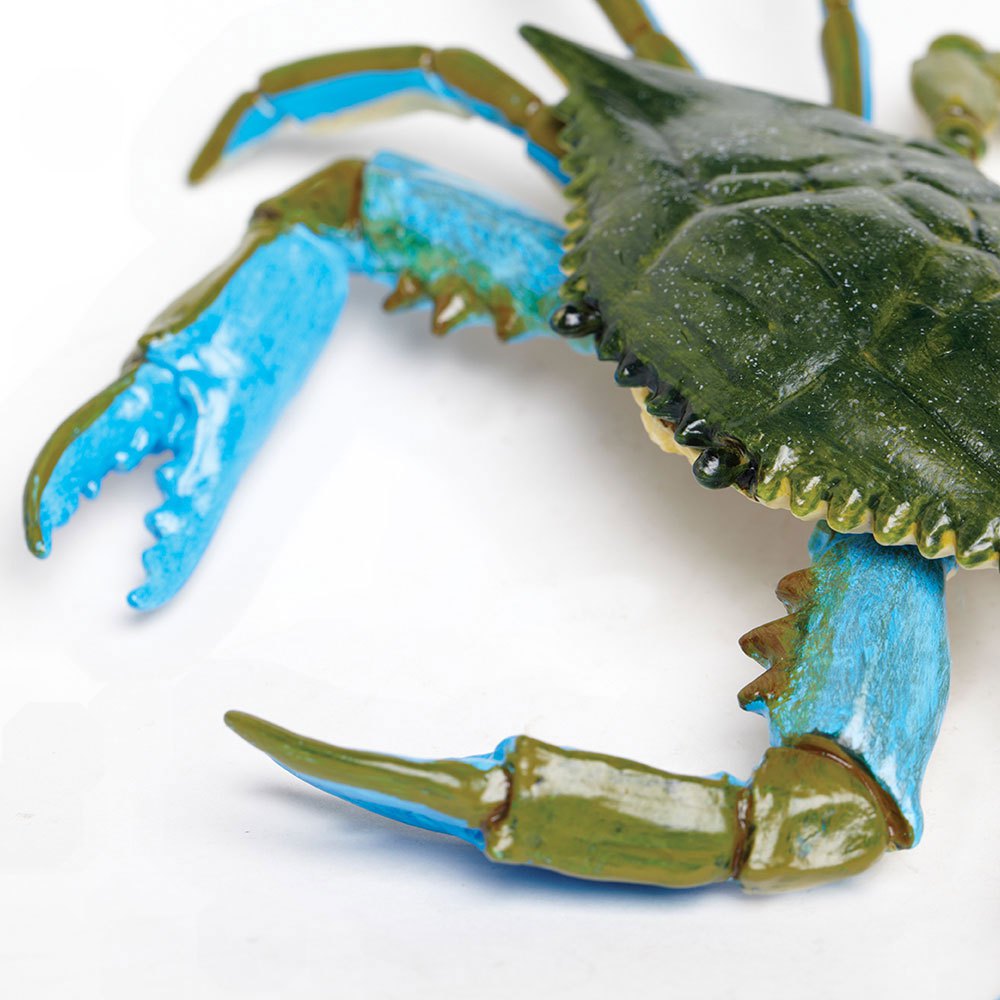 Купить Safari ltd S269729 Blue Crab Фигура Зеленый  Green / Blue From 3 Years  7ft.ru в интернет магазине Семь Футов