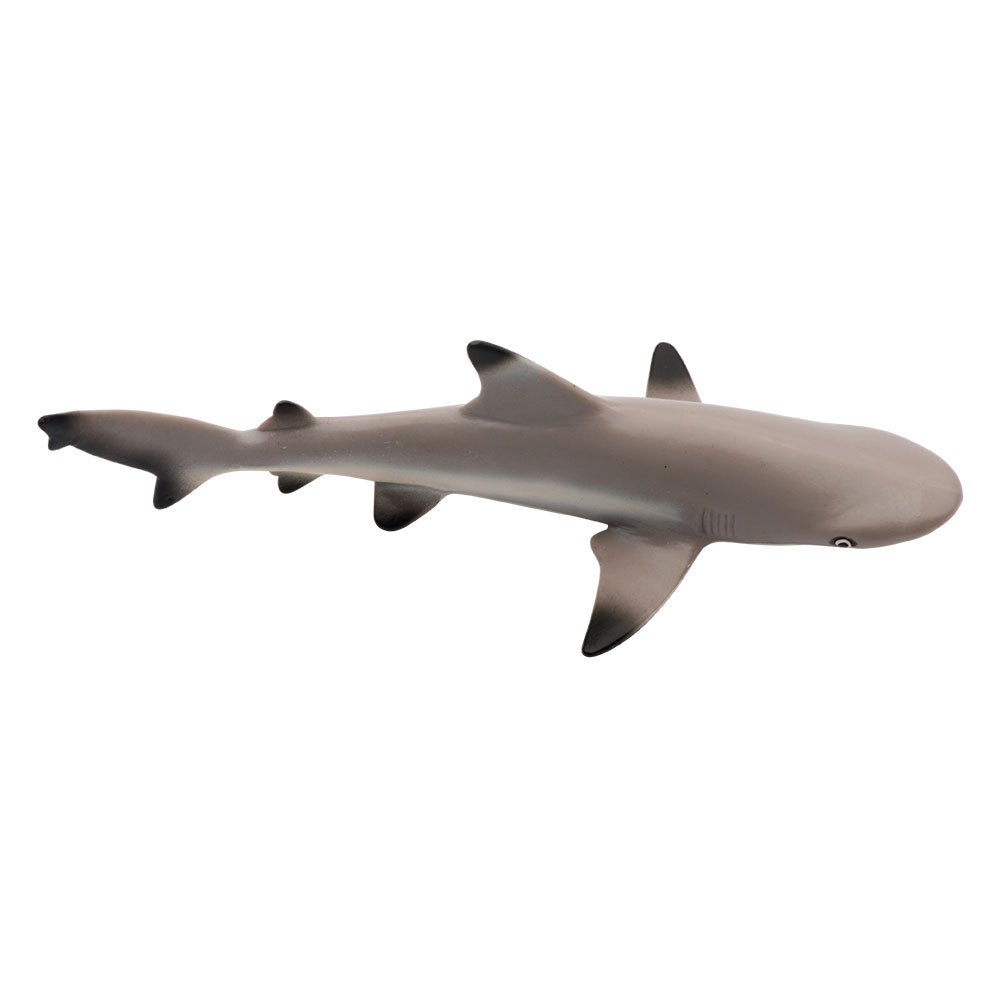 Купить Safari ltd S200029 Black Tip Reef Shark Фигура Коричневый Grey From 3 Years  7ft.ru в интернет магазине Семь Футов