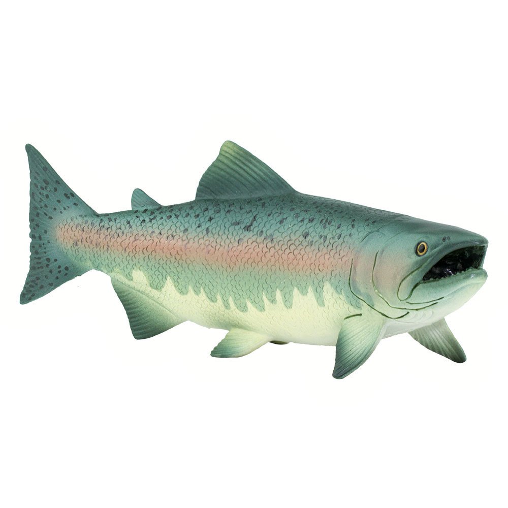 Купить Safari ltd S100205 Salmon Фигура Зеленый  Multicolor From 3 Years  7ft.ru в интернет магазине Семь Футов