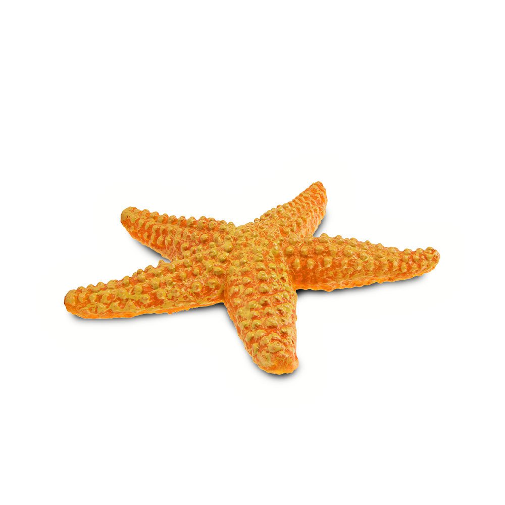 Купить Safari ltd S276829 Starfish Sea Life Фигура Оранжевый Orange From 3 Years  7ft.ru в интернет магазине Семь Футов