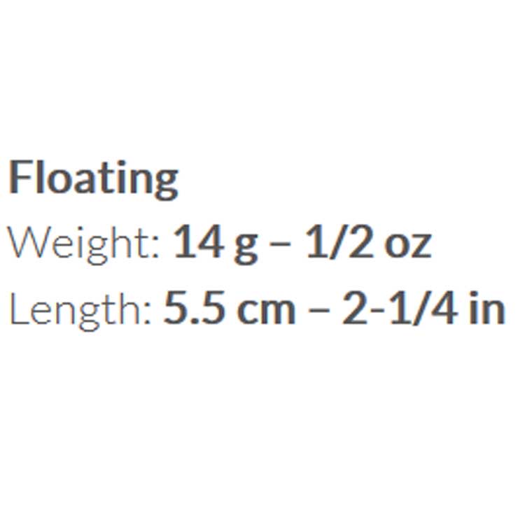 Купить Molix SCDRR-219 Sculpo DR Rattlin USA Floating 55 Mm 14g Многоцветный 219 MX Alburno 7ft.ru в интернет магазине Семь Футов