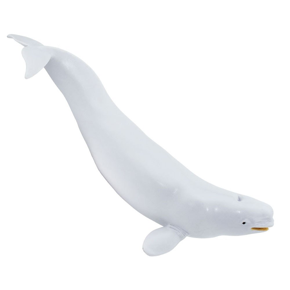 Купить Safari ltd S211002 Beluga Фигура Белая  White From 3 Years  7ft.ru в интернет магазине Семь Футов