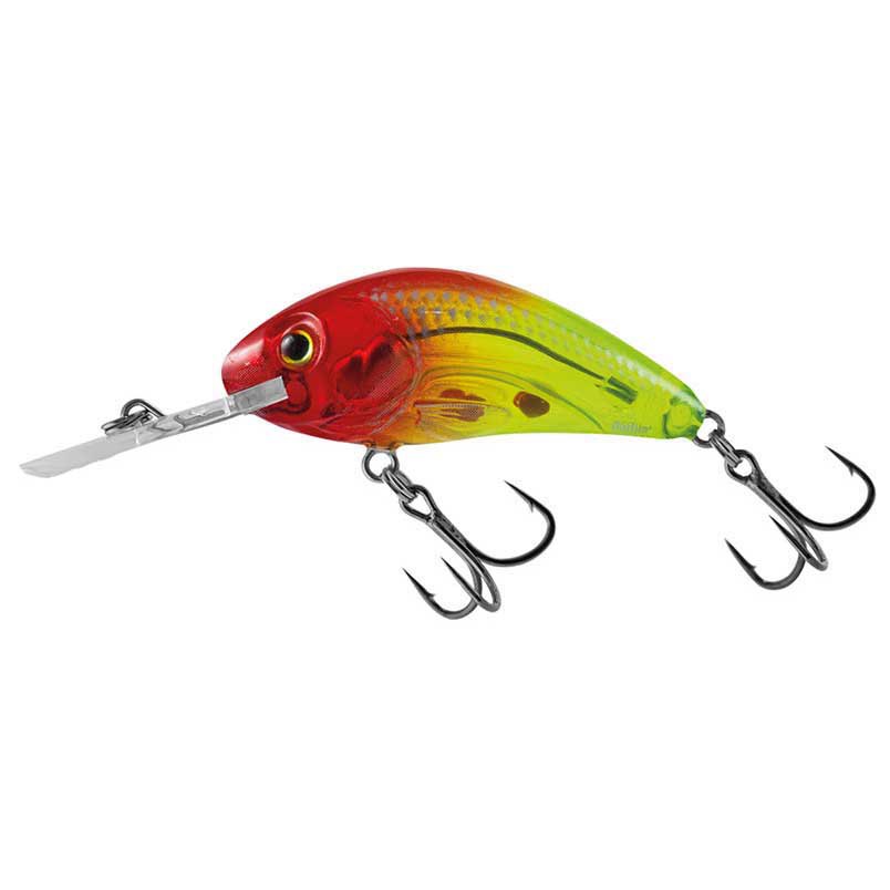 Купить Salmo QRH359 Rattlin Hornet Clear Floating 45 Mm Многоцветный Clear Hot Green Tiger 7ft.ru в интернет магазине Семь Футов