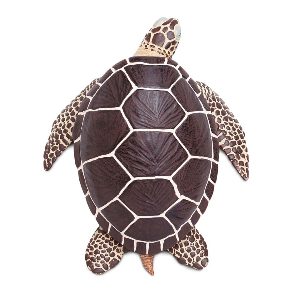 Купить Safari ltd S260429 Sea Turtle Фигура Коричневый  Brown From 3 Years  7ft.ru в интернет магазине Семь Футов