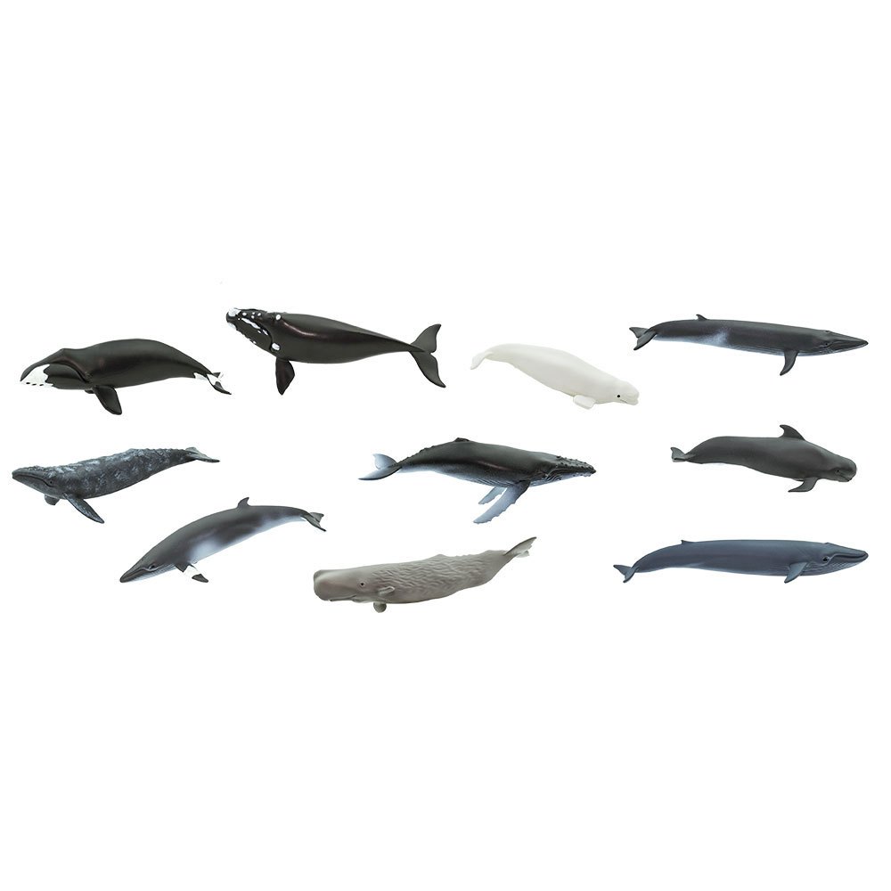 Купить Safari ltd S100072 Whales Toob Фигура Многоцветный Multicolor From 3 Years  7ft.ru в интернет магазине Семь Футов