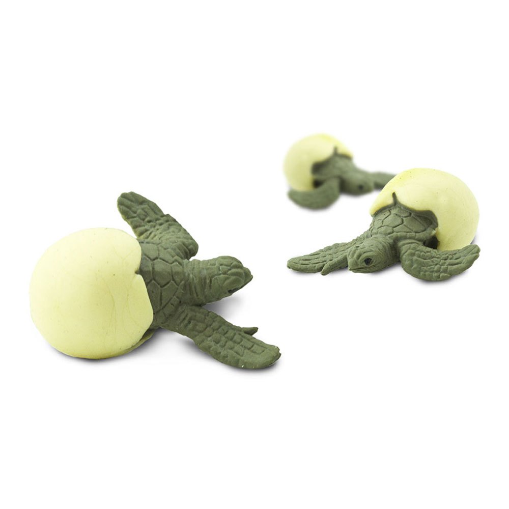 Купить Safari ltd S341522 Sea Turtle Hatchlings Good Luck Minis Фигура Зеленый Green / Beige From 3 Years  7ft.ru в интернет магазине Семь Футов