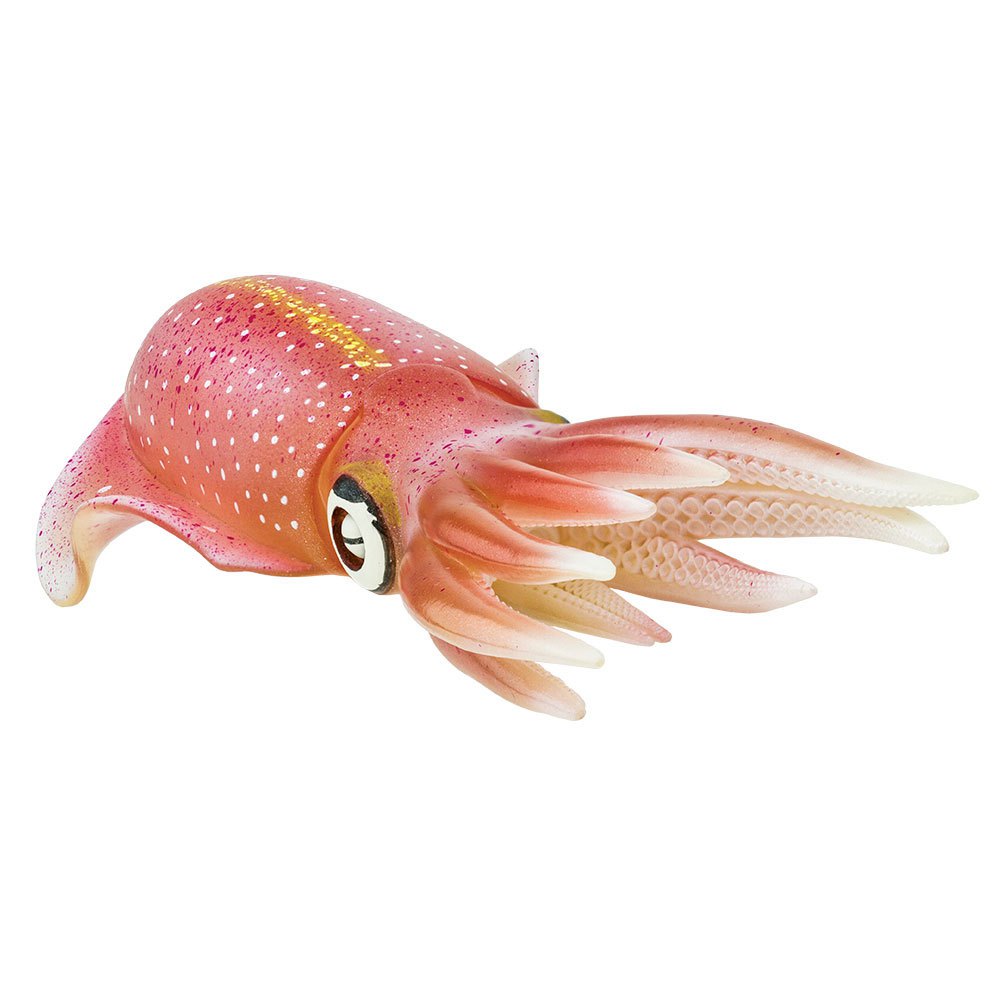 Купить Safari ltd S266229 Reef Squid Фигура Оранжевый  Pink From 3 Years  7ft.ru в интернет магазине Семь Футов