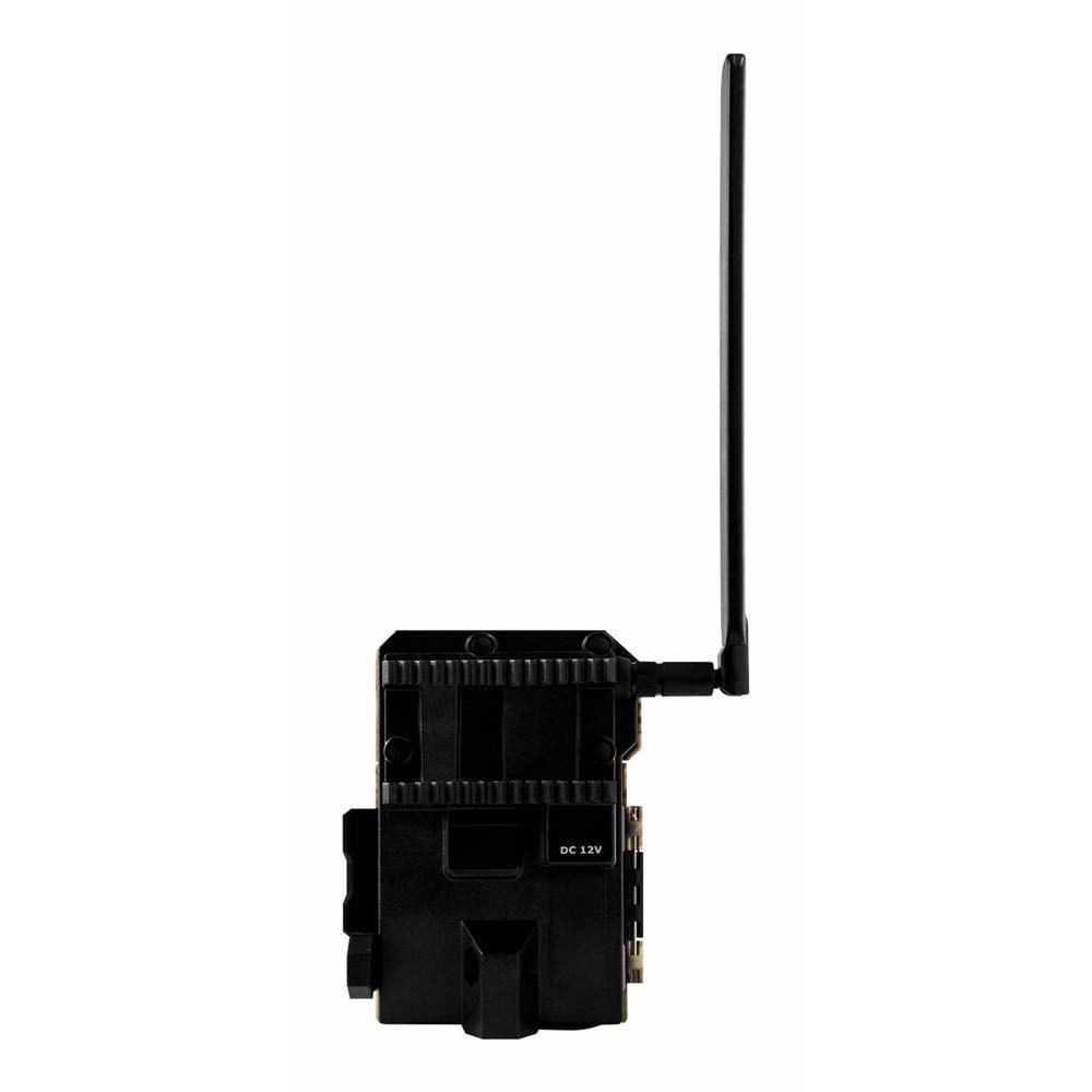 Купить Spypoint 680600 Link Micro LTE Камера Зеленый  Camo 7ft.ru в интернет магазине Семь Футов