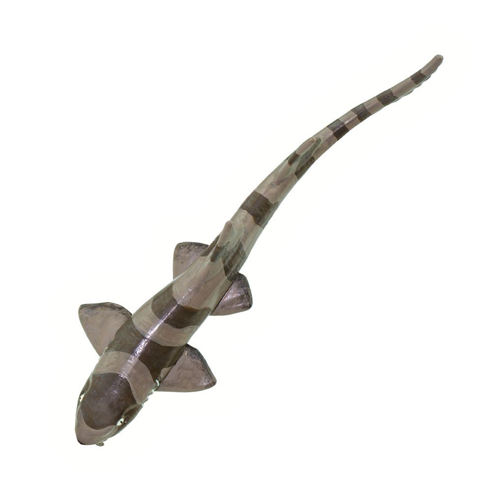 Купить Safari ltd S100311 Bamboo Shark Фигура Серый  Grey From 3 Years  7ft.ru в интернет магазине Семь Футов