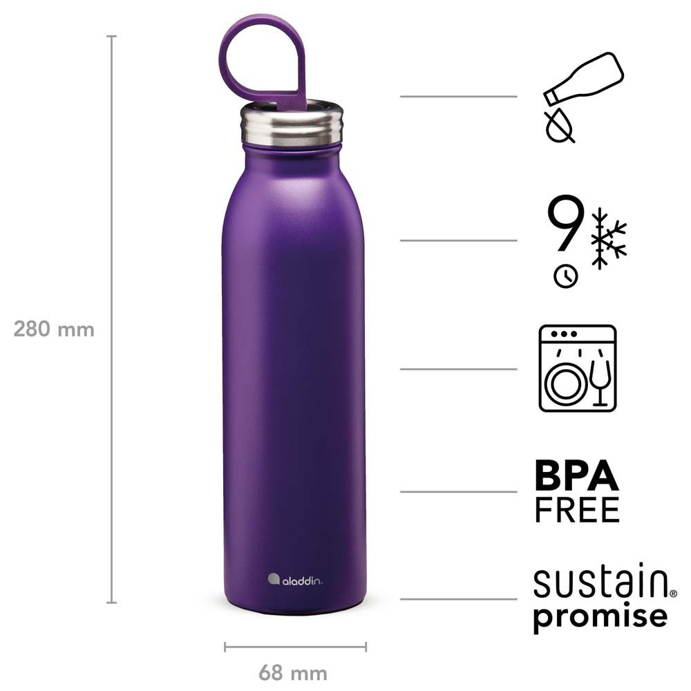 Купить Aladdin 10-09425-003 Chilled Thermavac™ Бутылка из нержавеющей стали 0,55 л Фиолетовый Purple 7ft.ru в интернет магазине Семь Футов