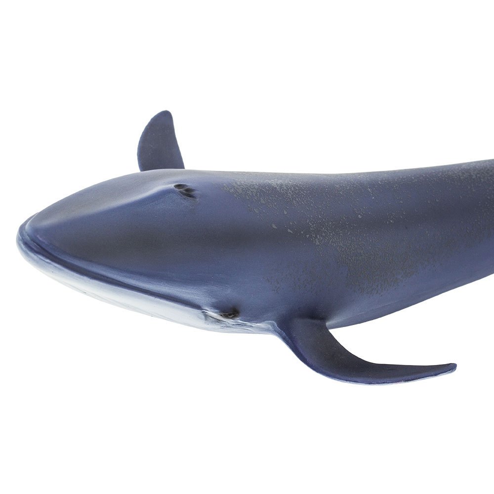 Купить Safari ltd S223229 Blue Whale Фигура Голубой  Blue From 3 Years  7ft.ru в интернет магазине Семь Футов