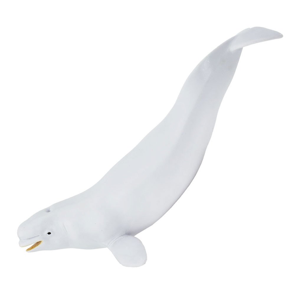 Купить Safari ltd S211002 Beluga Фигура Белая  White From 3 Years  7ft.ru в интернет магазине Семь Футов